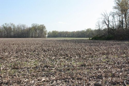 Property photo 23 - 641 Acres Offered in 16 Tracts - 545 Cropland Acres